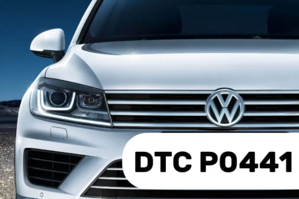 DTC P0441 Volkswagen